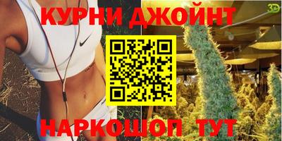 прущие крисы Гай