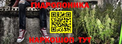 прущие крисы Гай