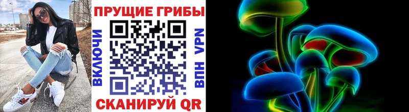 Псилоцибиновые грибы мухоморы  купить  цена  Тверь 
