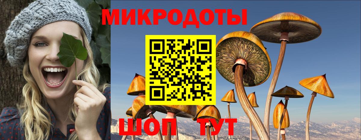 Псилоцибиновые грибы MAGIC MUSHROOMS Тверь
